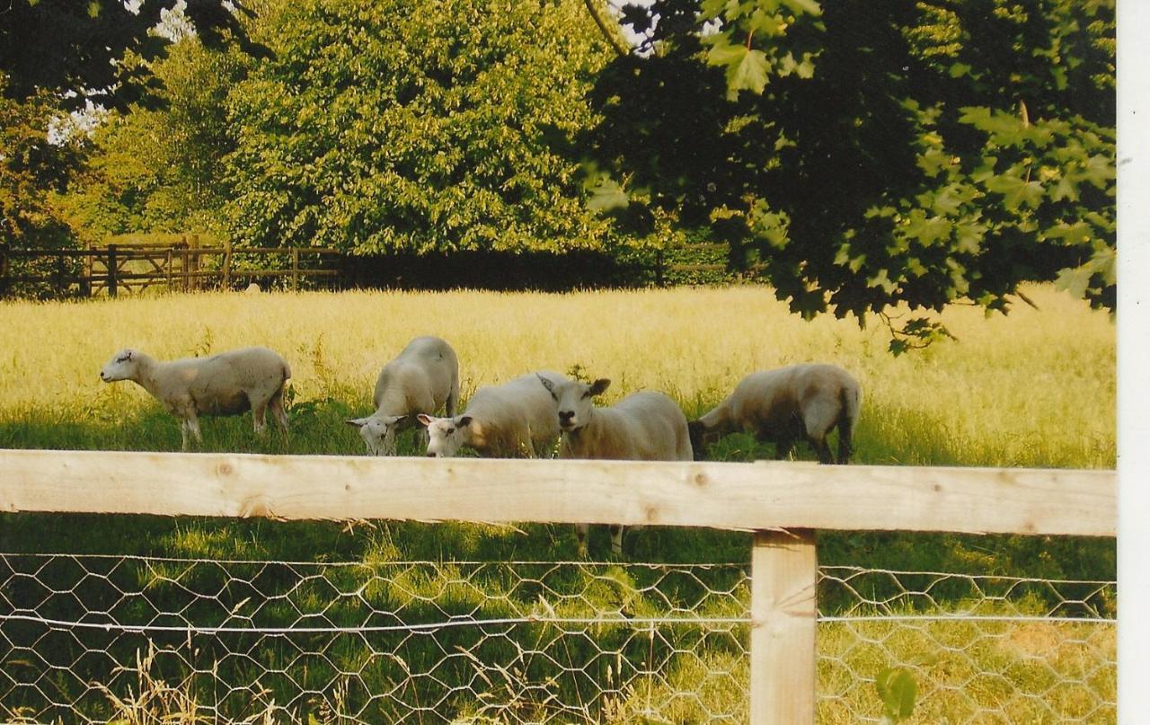 Bank Farm Cottages Nantwich Zewnętrze zdjęcie